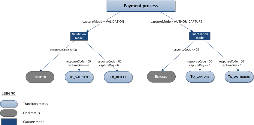 description of the possible statuses for an American Express transaction