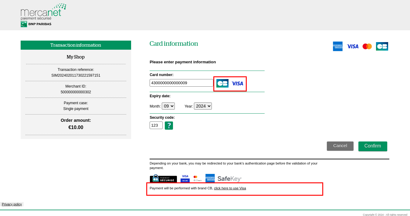 Payment page with highlighting of detected networks and network change link