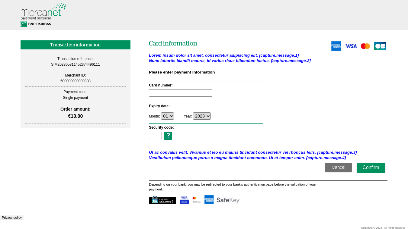 Card data entry page showing location of customizable messages 