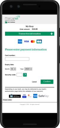 Payment data entry page 