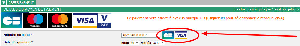 Illustration des réseaux reconnus pour la carte saisie