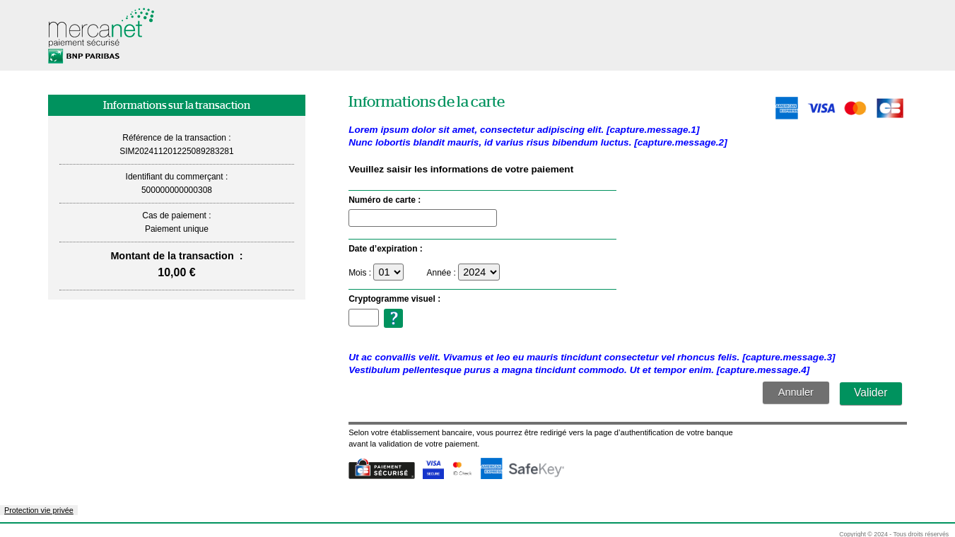 Page de saisie des données cartes indiquant l'emplacement des messages personnalisables 