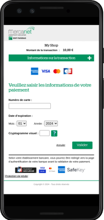 Page de saisie des données de paiement